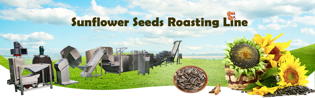 Sunflower Seeds Roasting Machine
