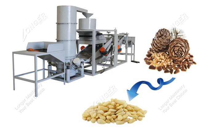 pine nut shelling machine