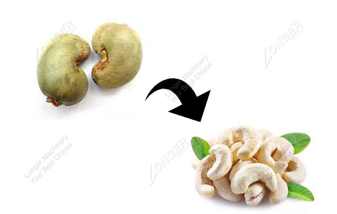 Cashew Nut Shell Cutting Machine