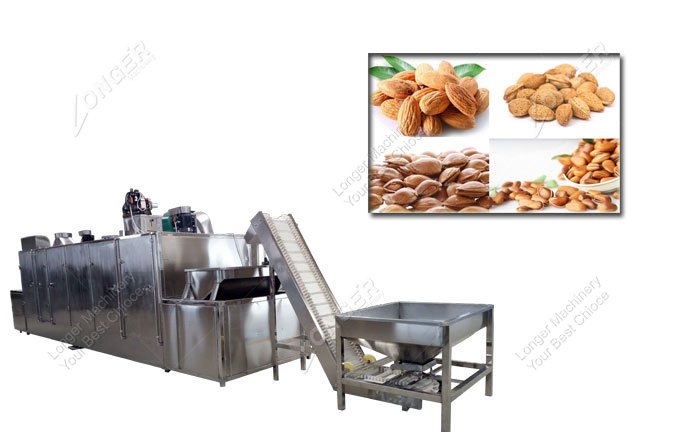 nut roasting machine for sale