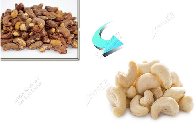 cashew nut peeling machine price india
