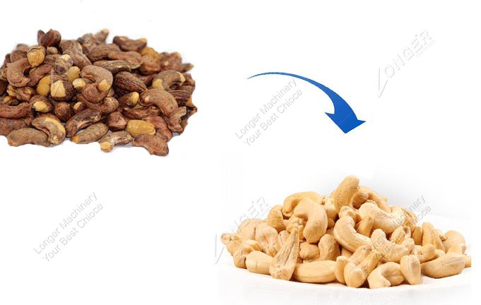 cashew nut peeling machine suppliers india