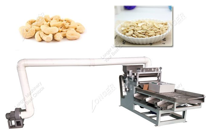 Fully Automatic Cashew Cutting Machine
