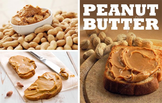 peanut butter manufacturing plant cost