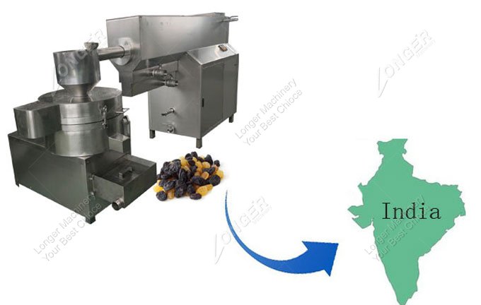 raisin washing machine in india