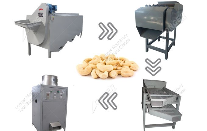 cashew nut processing machine cost